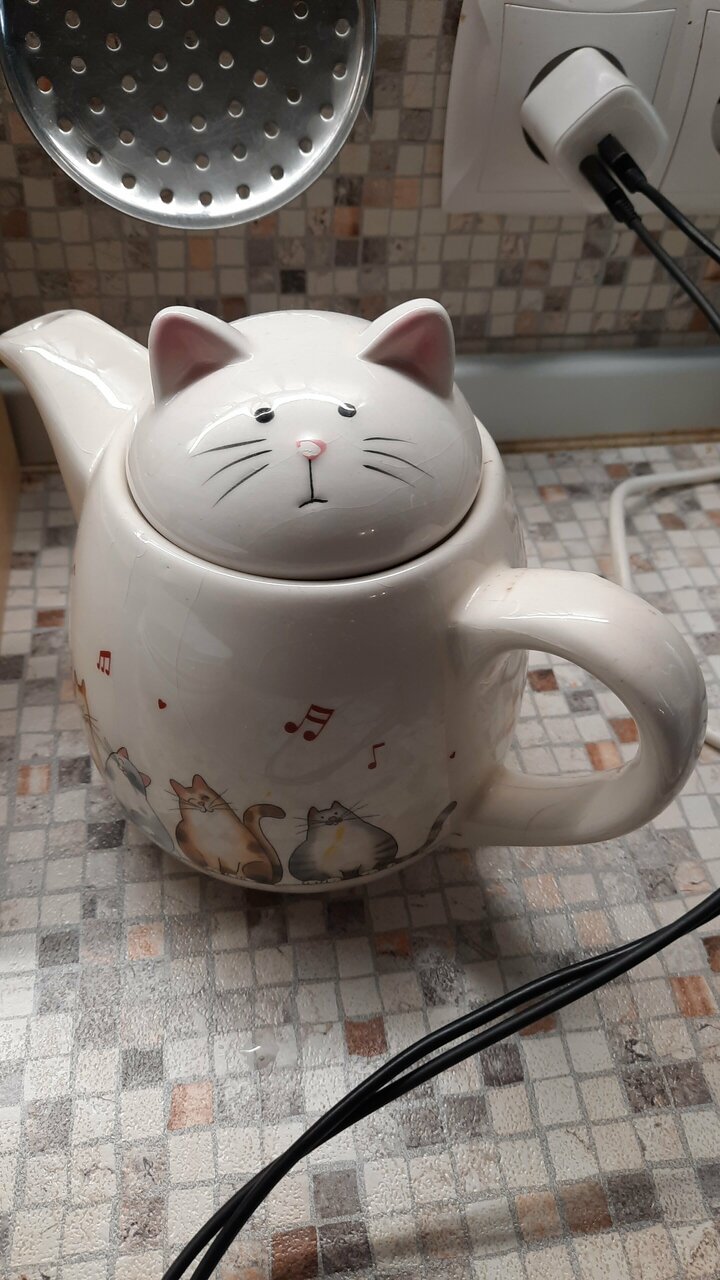 Гостевой дом Кот и кошка Валдай-140