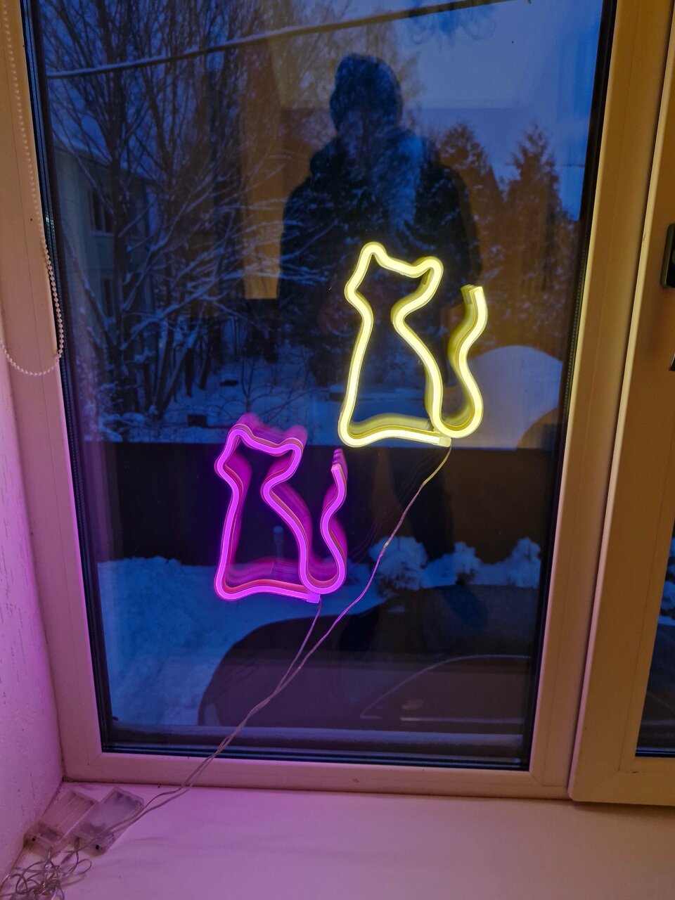 Гостевой дом Кот и кошка Валдай-165