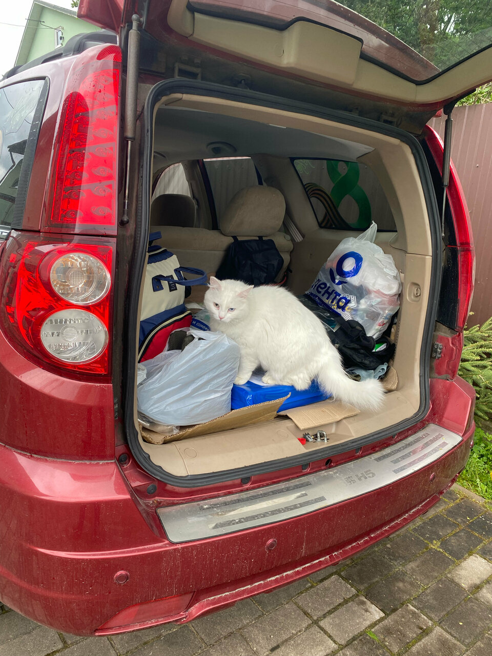 Гостевой дом Кот и кошка Валдай-69