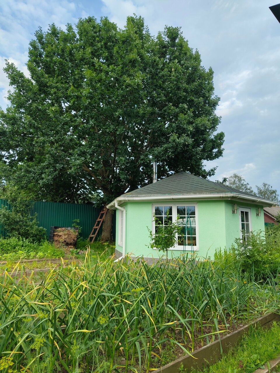 Гостевой дом Кот и кошка Валдай-179