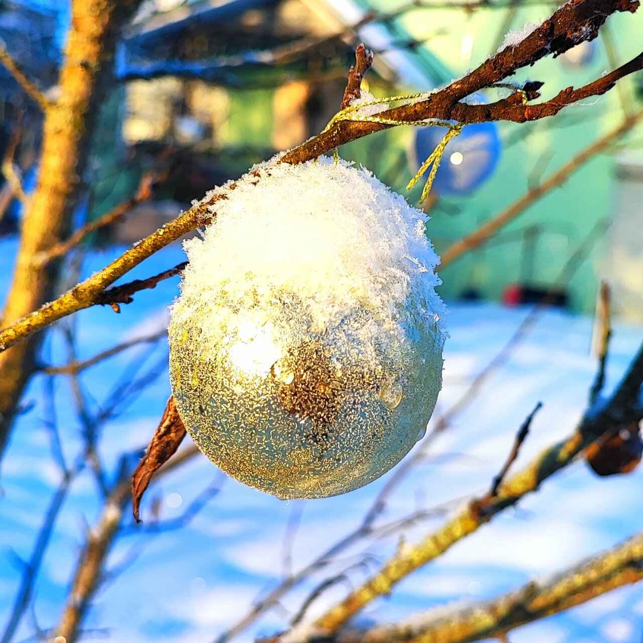 Гостевой дом Кот и кошка Валдай-97