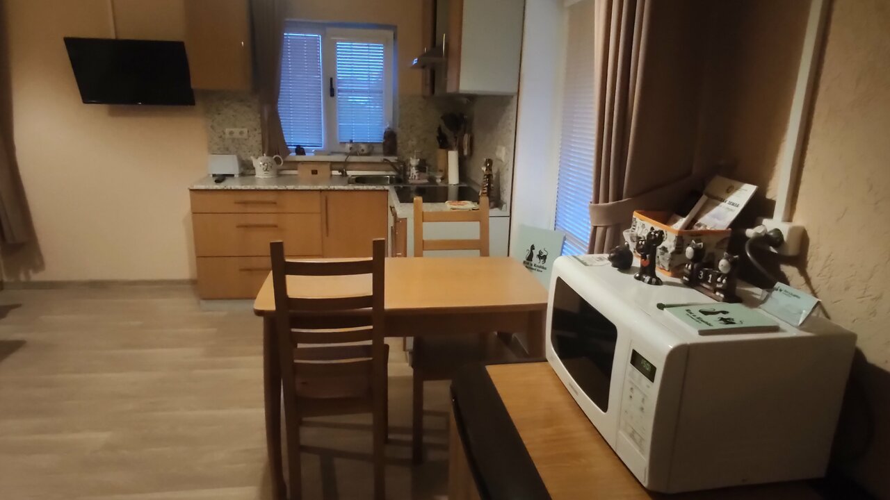 Гостевой дом Кот и кошка Валдай-171