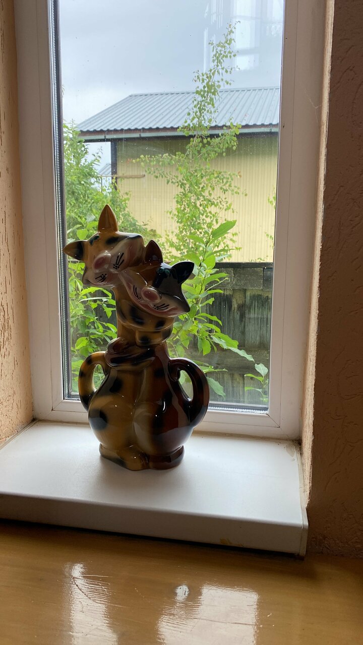 Гостевой дом Кот и кошка Валдай-141