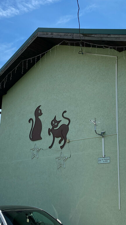 Гостевой дом Кот и кошка Валдай-86