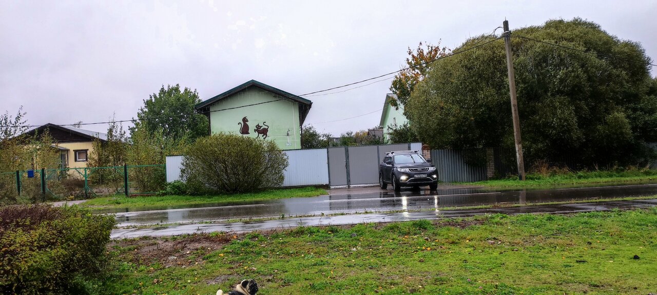 Гостевой дом Кот и кошка Валдай-111