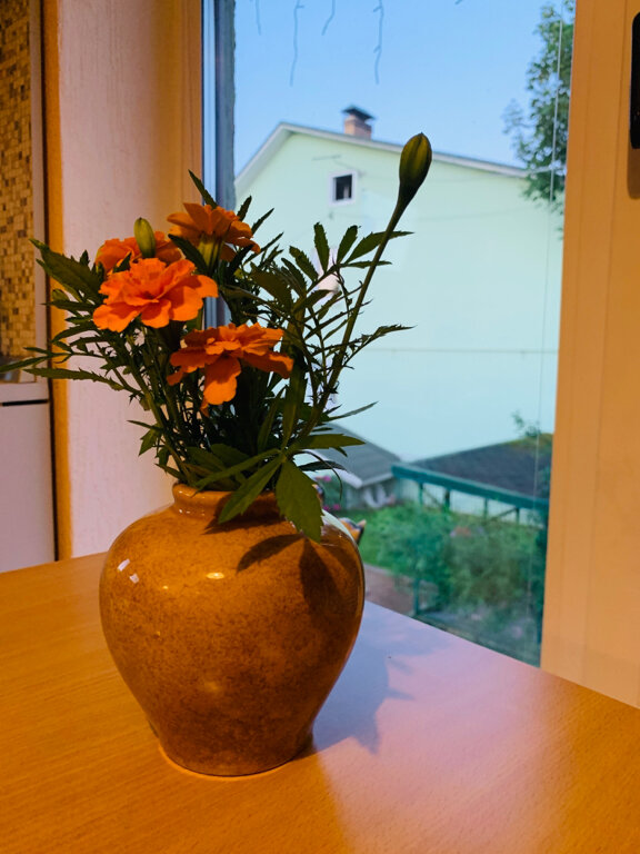 Гостевой дом Кот и кошка Валдай-41