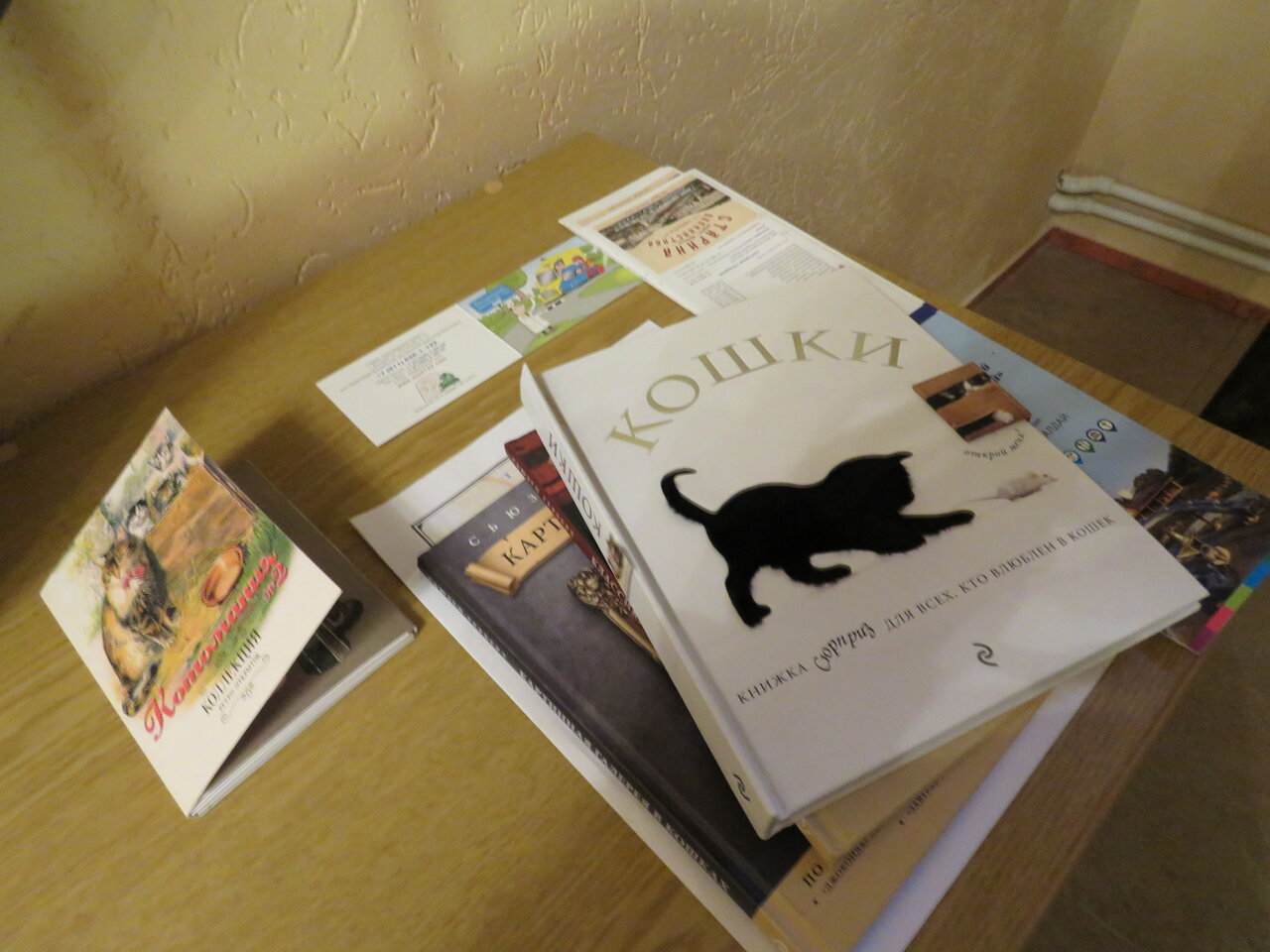 Гостевой дом Кот и кошка Валдай-13