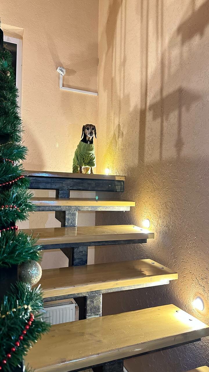 Гостевой дом Кот и кошка Валдай-127