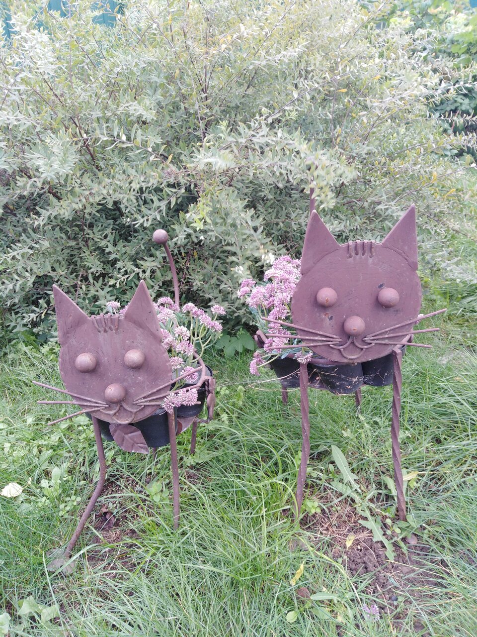 Гостевой дом Кот и кошка Валдай-120