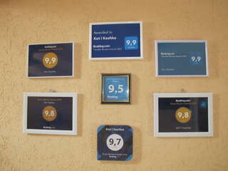 Гостевой дом Кот и кошка Валдай-6