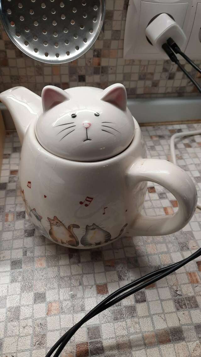 Гостевой дом Кот и кошка Валдай-139