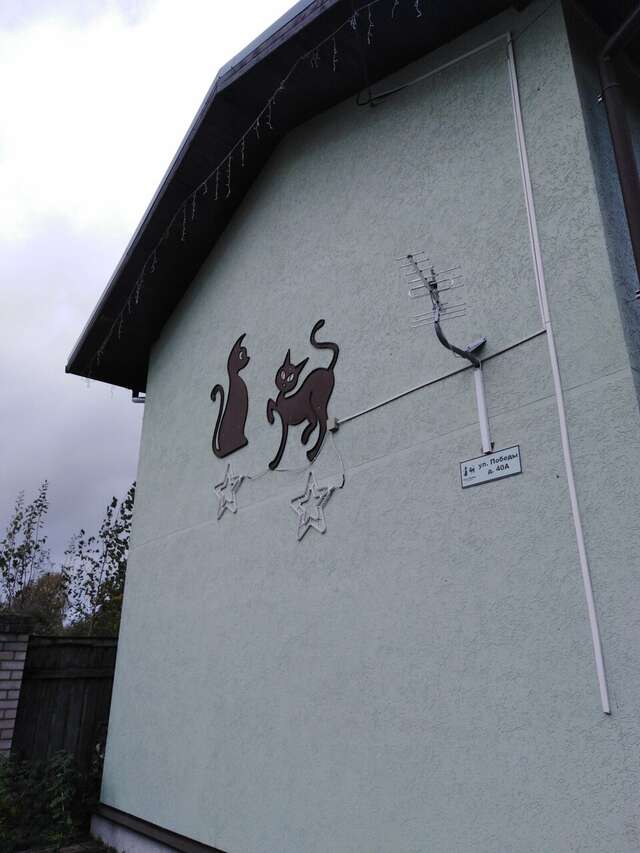 Гостевой дом Кот и кошка Валдай-145