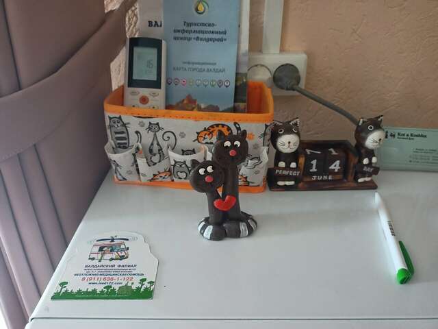 Гостевой дом Кот и кошка Валдай-81