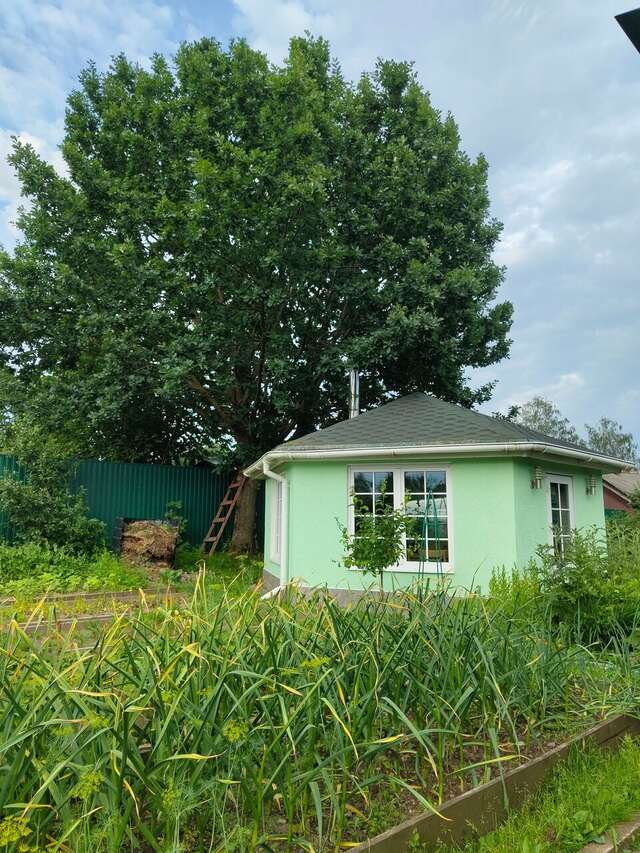 Гостевой дом Кот и кошка Валдай-178