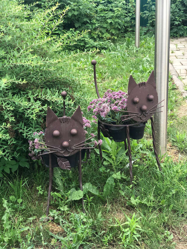 Гостевой дом Кот и кошка Валдай-50