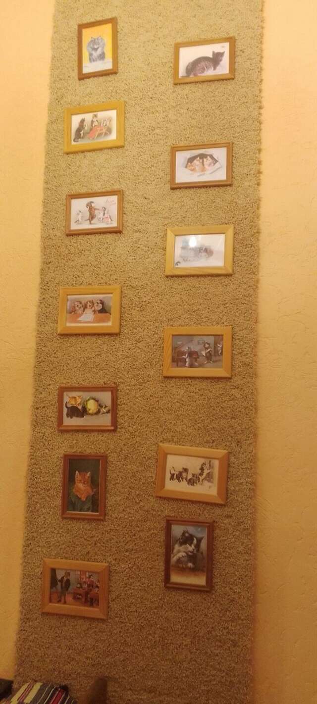 Гостевой дом Кот и кошка Валдай-153