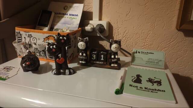 Гостевой дом Кот и кошка Валдай-146