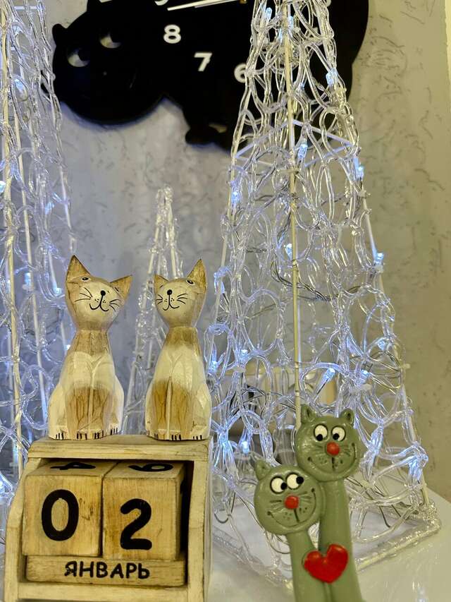 Гостевой дом Кот и кошка Валдай-129