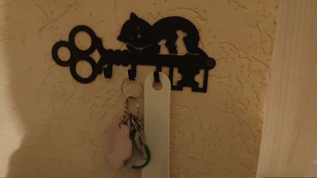 Гостевой дом Кот и кошка Валдай-77