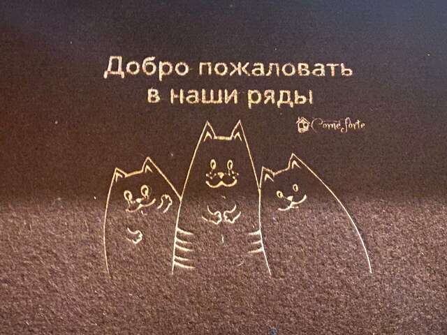 Гостевой дом Кот и кошка Валдай-74