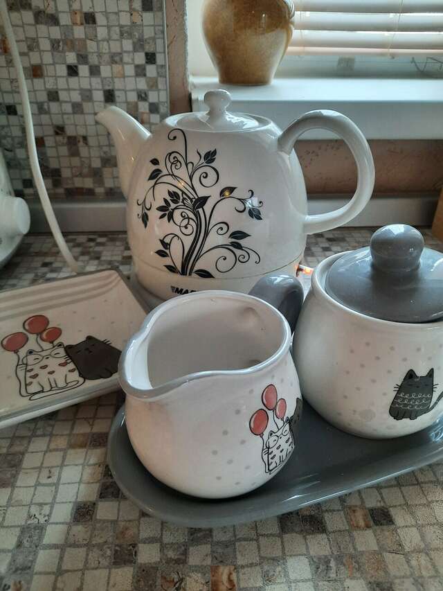 Гостевой дом Кот и кошка Валдай-156