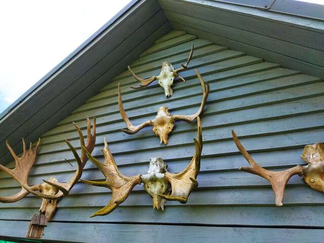 Гостевой дом Кот и кошка Валдай-48