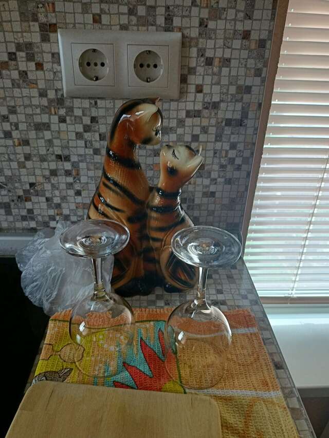 Гостевой дом Кот и кошка Валдай-137