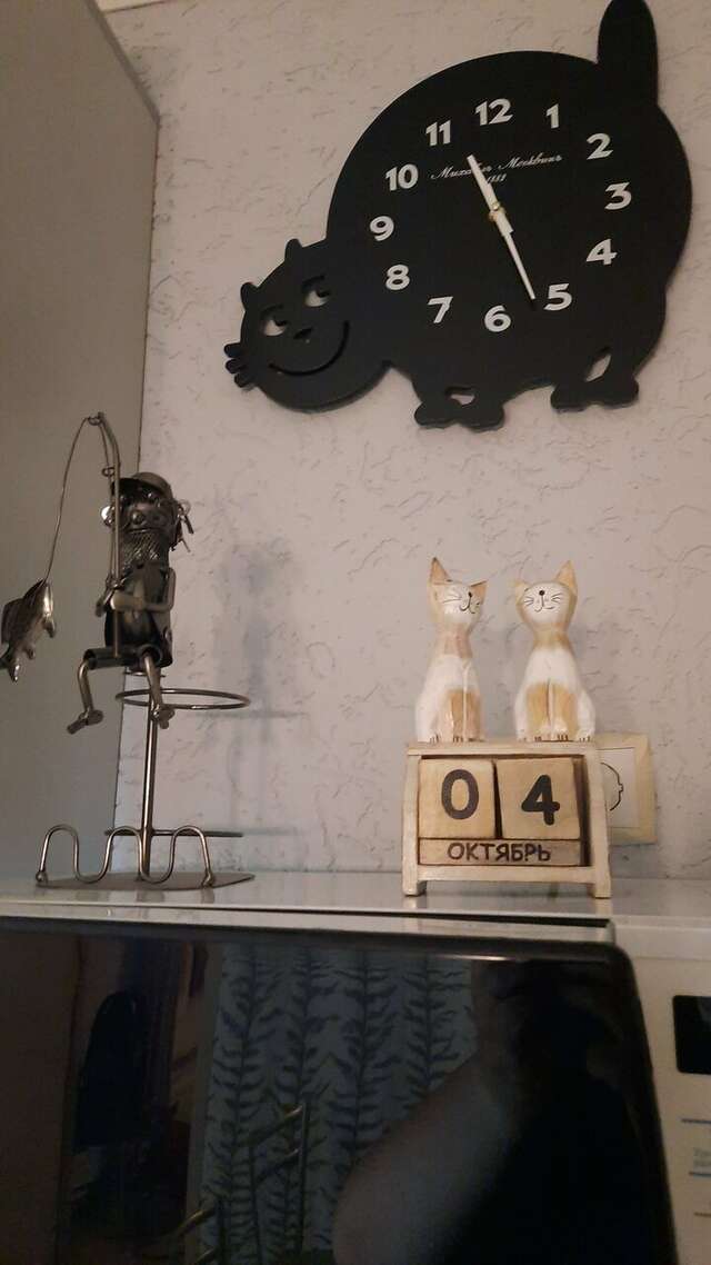 Гостевой дом Кот и кошка Валдай-176