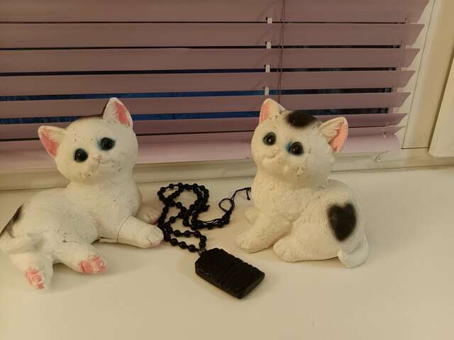 Гостевой дом Кот и кошка Валдай-70