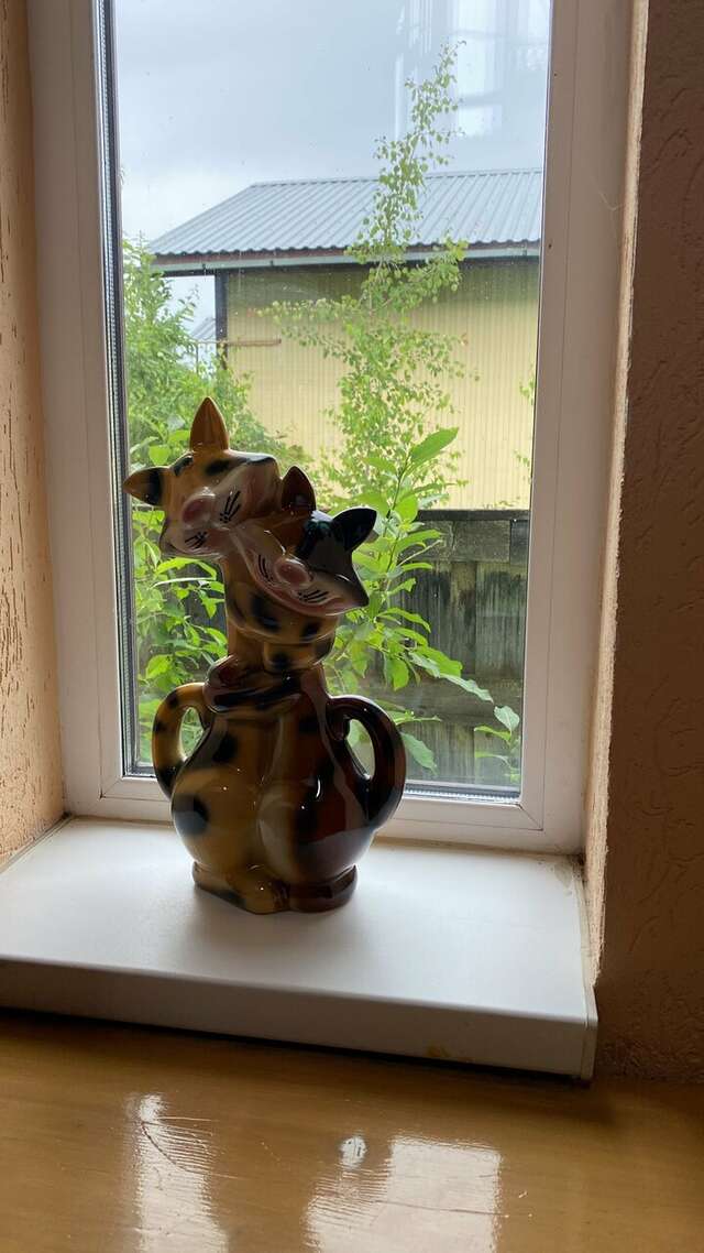 Гостевой дом Кот и кошка Валдай-140