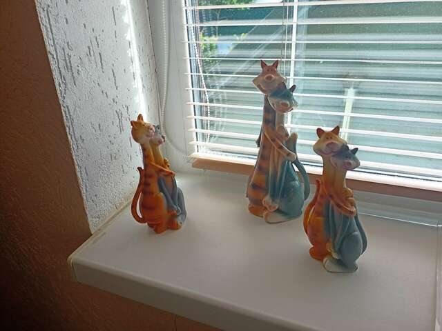 Гостевой дом Кот и кошка Валдай-76