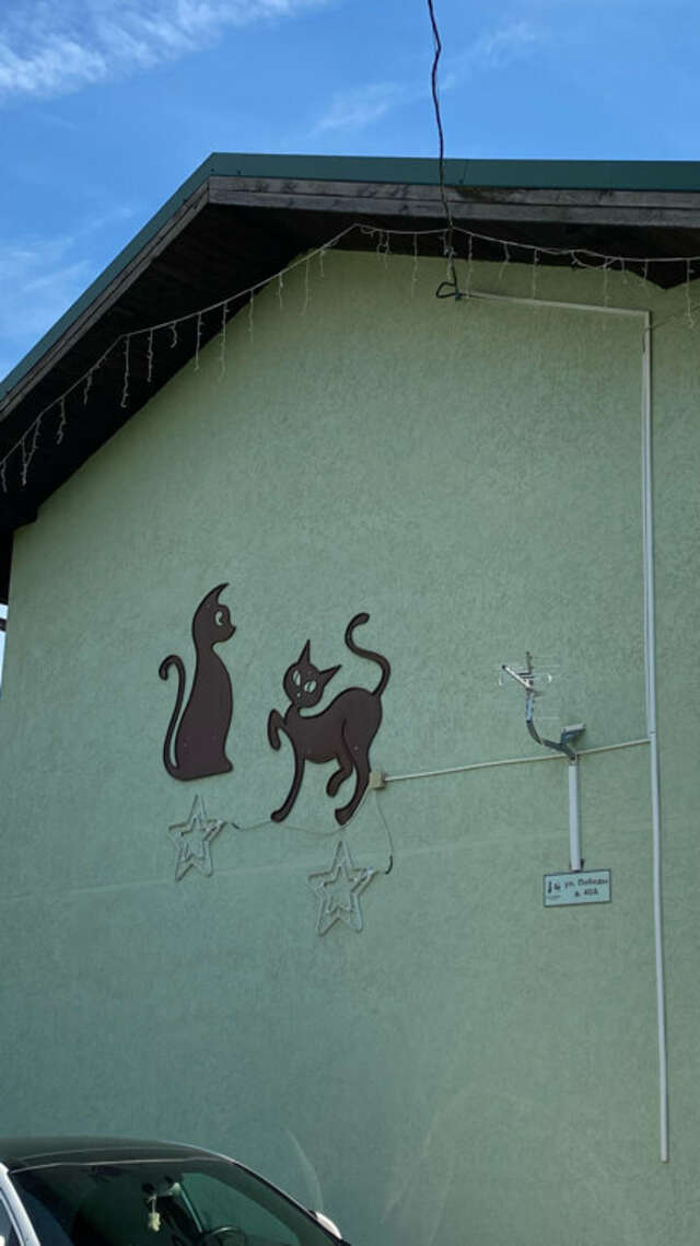 Гостевой дом Кот и кошка Валдай-85