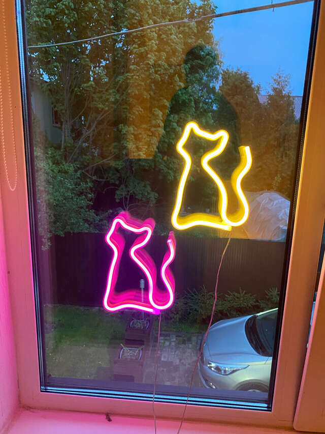 Гостевой дом Кот и кошка Валдай-78