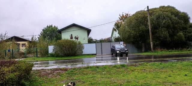 Гостевой дом Кот и кошка Валдай-110