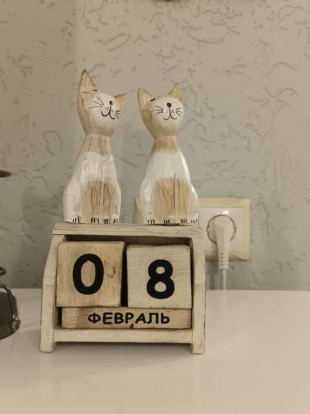 Гостевой дом Кот и кошка Валдай-80