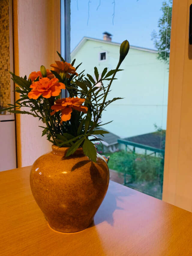 Гостевой дом Кот и кошка Валдай-40