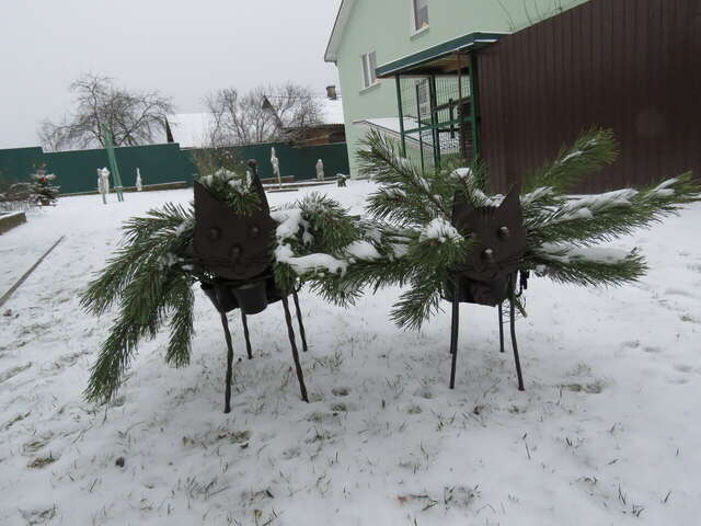 Гостевой дом Кот и кошка Валдай-6