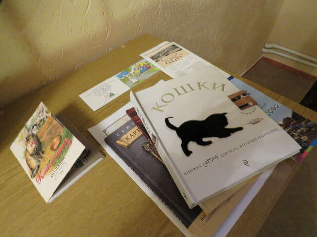 Гостевой дом Кот и кошка Валдай-12