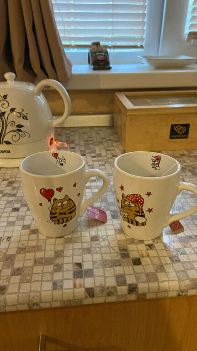 Гостевой дом Кот и кошка Валдай-152