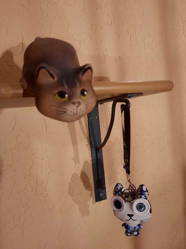 Гостевой дом Кот и кошка Валдай-94