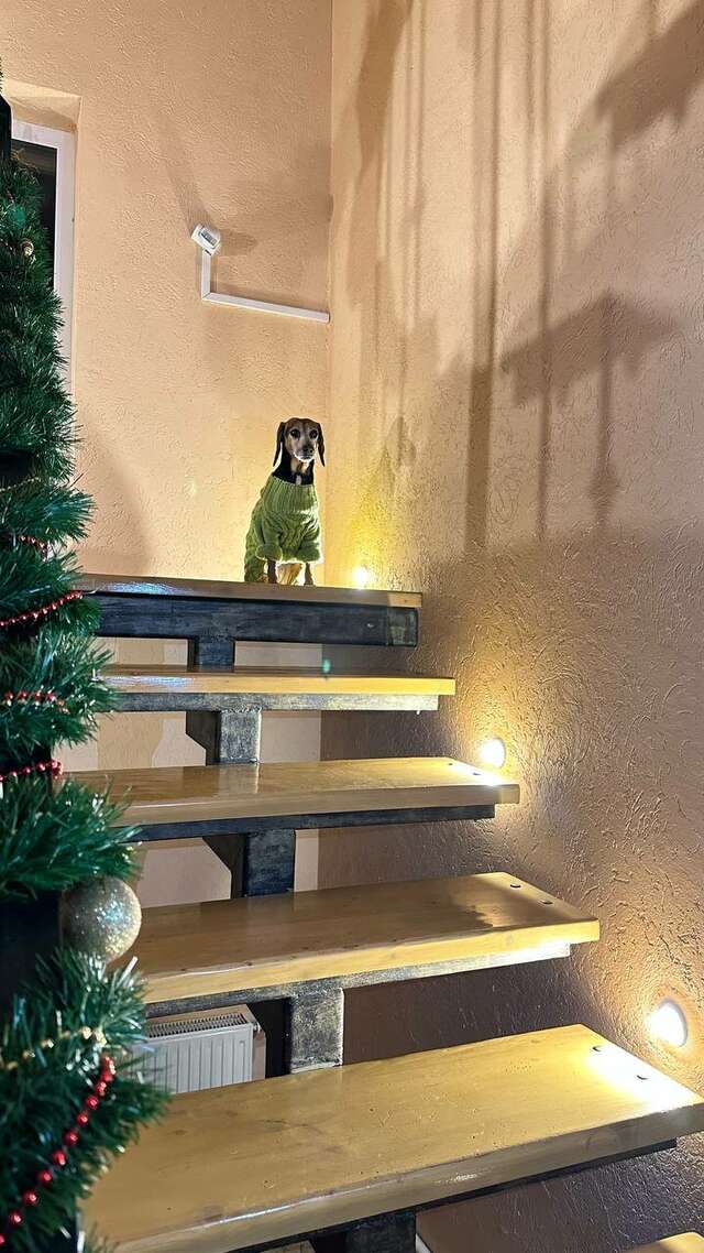 Гостевой дом Кот и кошка Валдай-126