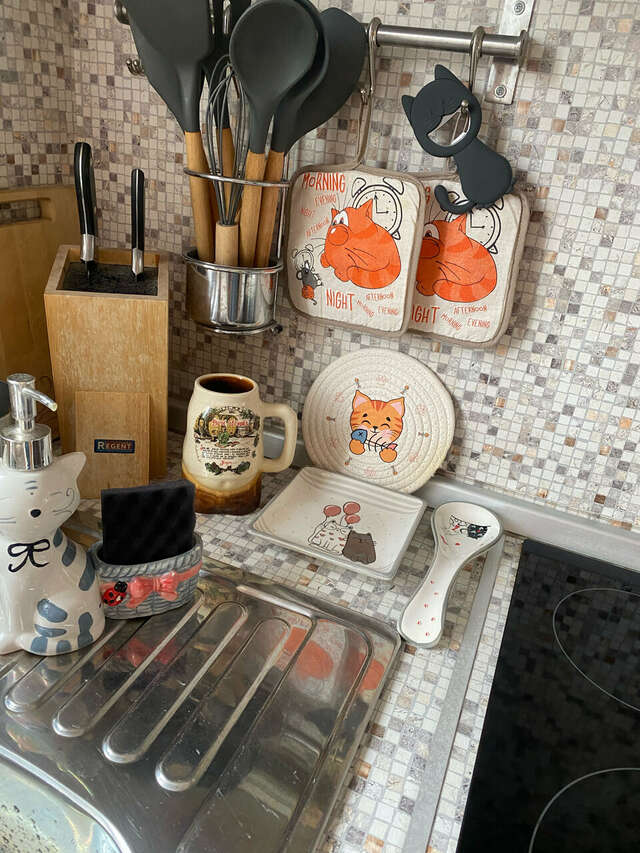 Гостевой дом Кот и кошка Валдай-134