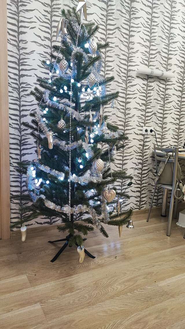 Гостевой дом Кот и кошка Валдай-163