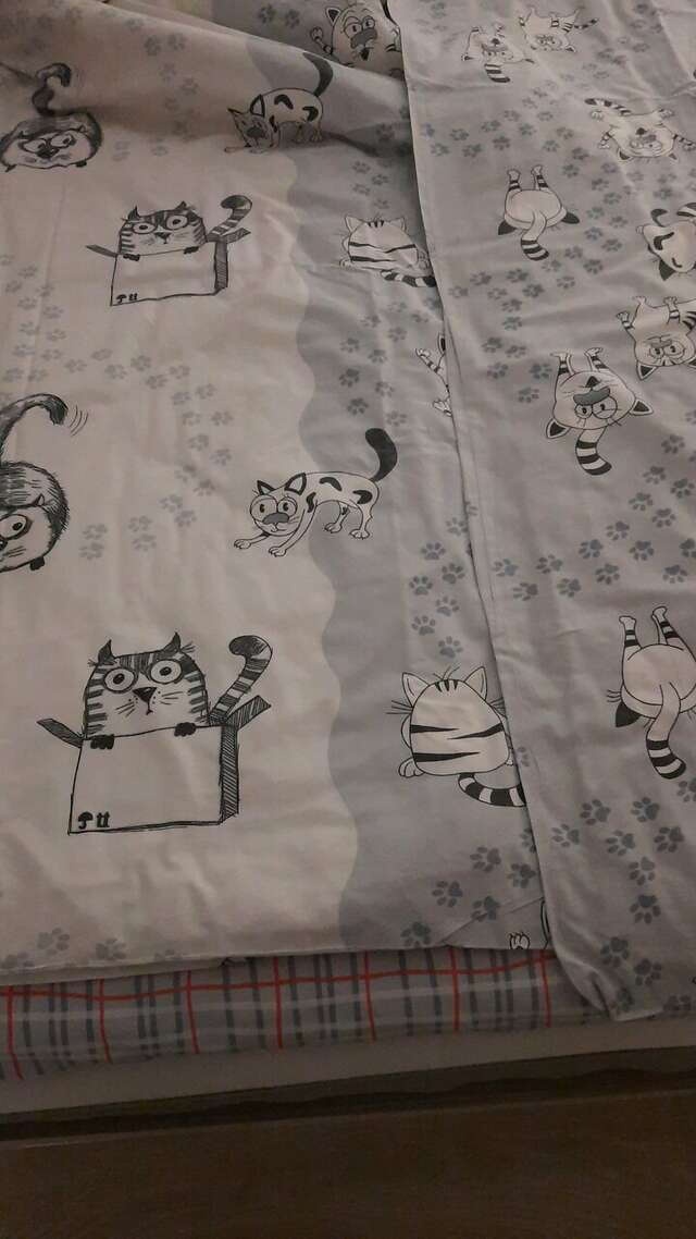 Гостевой дом Кот и кошка Валдай-87