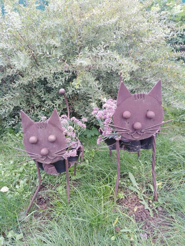 Гостевой дом Кот и кошка Валдай-119