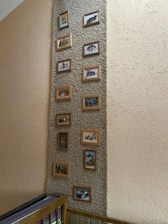 Гостевой дом Кот и кошка Валдай-65