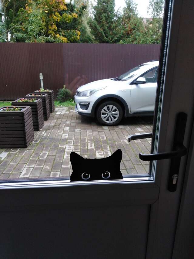 Гостевой дом Кот и кошка Валдай-73