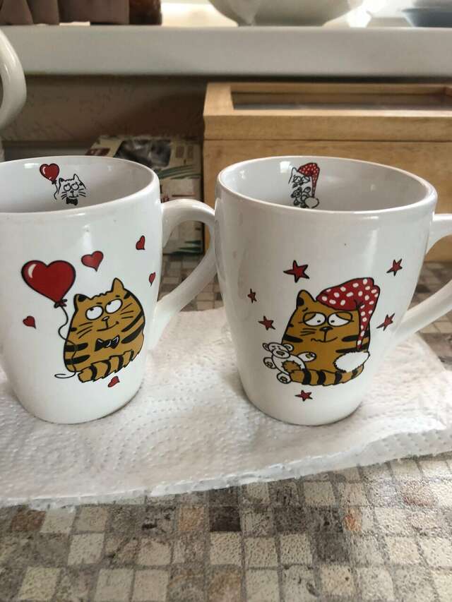 Гостевой дом Кот и кошка Валдай-79